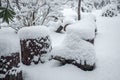 Heap of sawn pine wood logs covered with snow Royalty Free Stock Photo