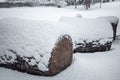 Heap of sawn pine wood logs covered with snow Royalty Free Stock Photo