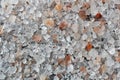 Heap of sea coarse salt on a black background. Royalty Free Stock Photo