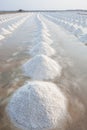 Heap of sea salt in original salt farm