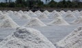 Heap of sea salt in salt farm Royalty Free Stock Photo