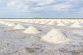 Heap of sea salt in salt farm ready for harvest. Royalty Free Stock Photo