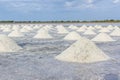 Heap of sea salt in salt farm ready for harvest.