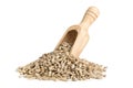 Heap of shelled sunflower seeds in wooden scoop Royalty Free Stock Photo