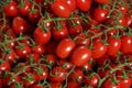 Heap of small cherry red tomatoes with green vine, photo from above Royalty Free Stock Photo