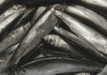 Heap of small fish herring or sprat background, close-up Royalty Free Stock Photo