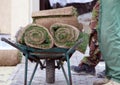 Heap of sod rolls for installing new lawn and two worker beside wheelbarrow with rolls of sod Royalty Free Stock Photo