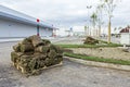 Heap of sod rolls for installing new lawn, unrolling grass Royalty Free Stock Photo