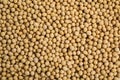 Heap of soya beans as background, top view. Veggie seeds Royalty Free Stock Photo