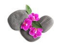 Heap of spa stones and orchid flowers on white background Royalty Free Stock Photo