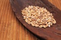 Heap of spelt grains Royalty Free Stock Photo
