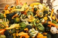 Heap of spotted colorful pumpkins