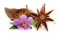 Star anise on white background. Royalty Free Stock Photo