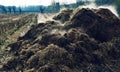 Heap of steaming cow-dung