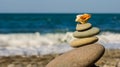 Stones with marine shell on a sea coast