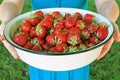 heap strawberries in big plate