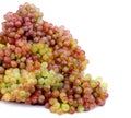 Heap of Sultana Grape