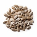 Heap Of Sunflower Seeds Isolated Royalty Free Stock Photo