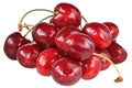 Heap sweet cherry close up isolated
