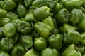 Heap of sweet green bell peppers. Healthy food and vitamins during the cold season. Close-up. Background. Space for text