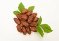 Heap of tasty dry dates or dates palm or palm phoenix dactylifera fruit with green leaves isolate on a white backdrop. Royalty Free Stock Photo