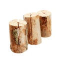 Heap of three logs with a built in lighter isolated on a white