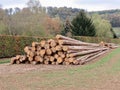 Heap of timber