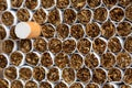 Heap of Tobacco Cigarettes Front View close up Royalty Free Stock Photo