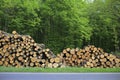 Heap tree trunk at the edge of forest