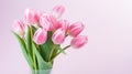 heap of tulips on pink pastel color background with copy space