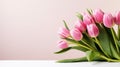 heap of tulips on pink pastel color background with copy space