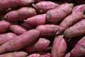 Heap of Uncooked Purple Sweet Potatoes, Background Royalty Free Stock Photo