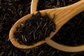 Heap of uncooked, raw, black wild rice grains in wooden scoop and wood bowl on rice grain background, flat lay top view from above Royalty Free Stock Photo