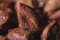 Heap of unshelled hazelnuts dark image full frame nuts macro close up