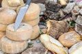 Heap of various aged ripe craft cheese on counter at farmers fair outdoor. Delicious Organic natural milk product