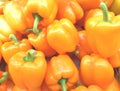 Heap of Vivid Orange Color Ripe Bell peppers