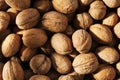Heap of walnuts in a shell, pile of nuts background. Royalty Free Stock Photo