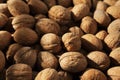 Heap of walnuts in a shell, pile of nuts background. Royalty Free Stock Photo