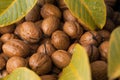 Heap of walnuts in a shell, pile of nuts background. Royalty Free Stock Photo