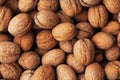 Heap of walnuts in a shell, pile of nuts background. Royalty Free Stock Photo