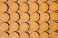 Heap of wheat biscuits as background and pattern for design. Homemade cereal biscuits top view.