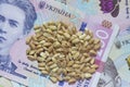 Heap of wheat grains lying on Ukrainian banknotes
