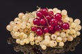 Heap of white currant and redcurrant isolated on black background