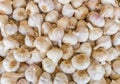 Heap of white garlic bulbs on market