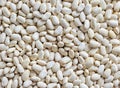Heap of white haricot beans background Royalty Free Stock Photo