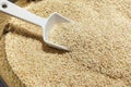 Heap of white sesame seeds with ladle Royalty Free Stock Photo