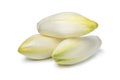 Heap of whole fresh raw Belgian endive Royalty Free Stock Photo