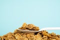 Heap of whole grain cereals in blue background.