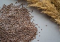 Heap of whole Linseeds isolated on white background Royalty Free Stock Photo