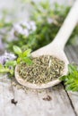 Heap of Winter Savory Royalty Free Stock Photo